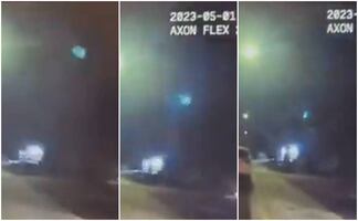 Viral. Falso el supuesto alien que se ocultó en un jardín en Las Vegas