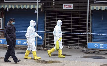 Las 4 hipótesis de la llegada del Covid-19 a Wuhan