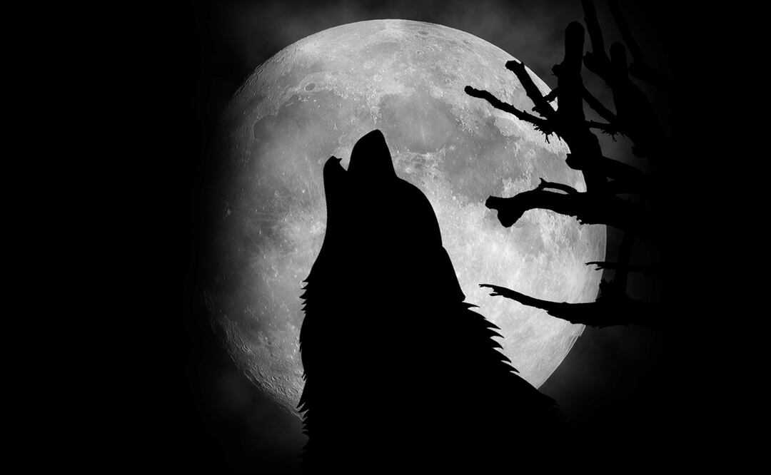 Luna llena de Lobo, la primera luna del 2024 que no te puedes perder. ¿Cuándo y cómo verla? Foto: Stock-Thinnapat