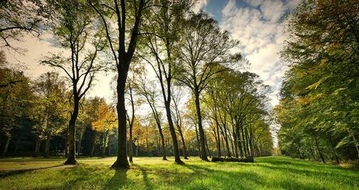 Las ciudades con los mejores parques de EU, más allá de Nueva York