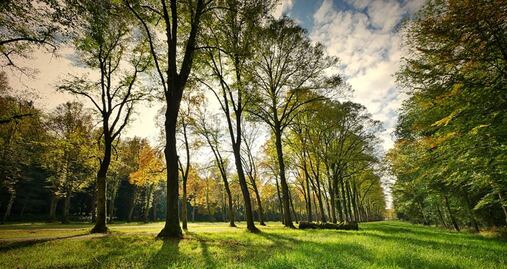 Las ciudades con los mejores parques de EU, más allá de Nueva York 