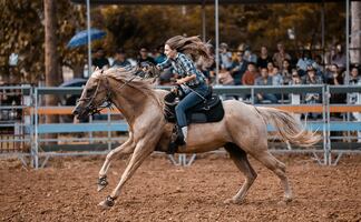 Las 5 mejores experiencias ‘vaqueras’ para vivir en Fort Worth, Texas 