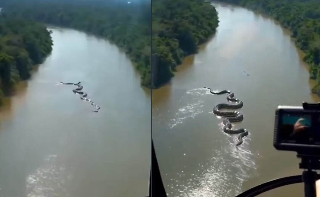 Anaconda Gigante FOTO: Captura de Video