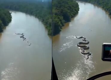 Captan anaconda gigante en el Amazonas. VIDEO