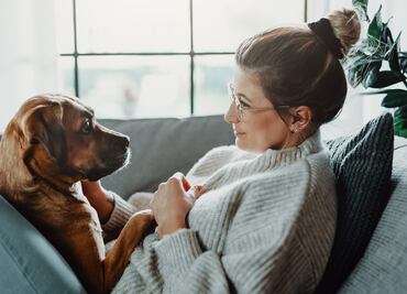 ¿Estresado? Tus perros pueden oler y percibir tu estrés gracias a su sentido del olfato