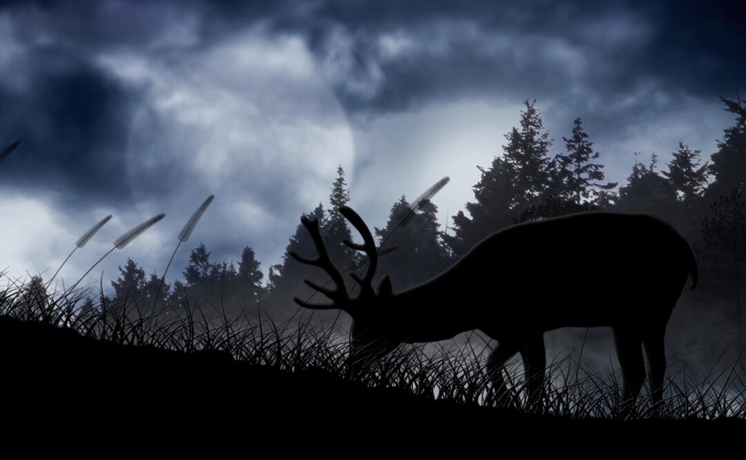 Luna de Ciervo 2024. ¿Por qué se llama así? ¿Cuándo y a qué hora se verá en México? Foto: iSTOCK-John Webb