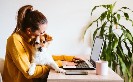 Día Mundial de Llevar al Perro al Trabajo. ¿Cuándo es, por qué se celebra y cuáles son los beneficios? 