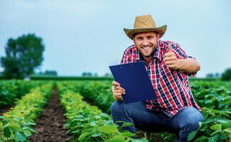 Buscan trabajadores agrícolas y jornaleros para laborar por temporadas en Florida (requisitos)