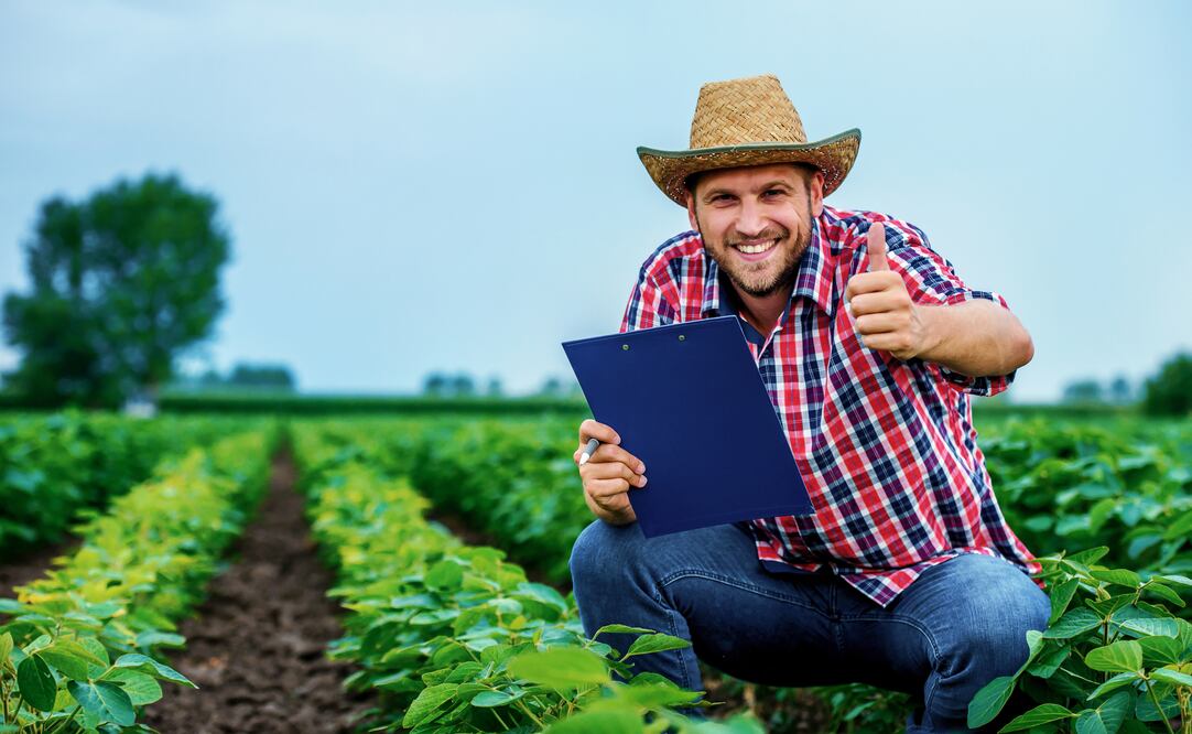 Trabajo en Estados Unidos. iStock/Bobex-73