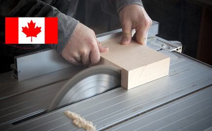 Fábrica de Canadá busca cortadores de madera y contratará a mexicanos