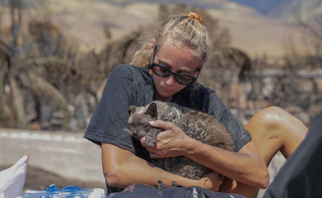 Maui, Hawái. (Photo by Moses SLOVATIZKI / AFP)