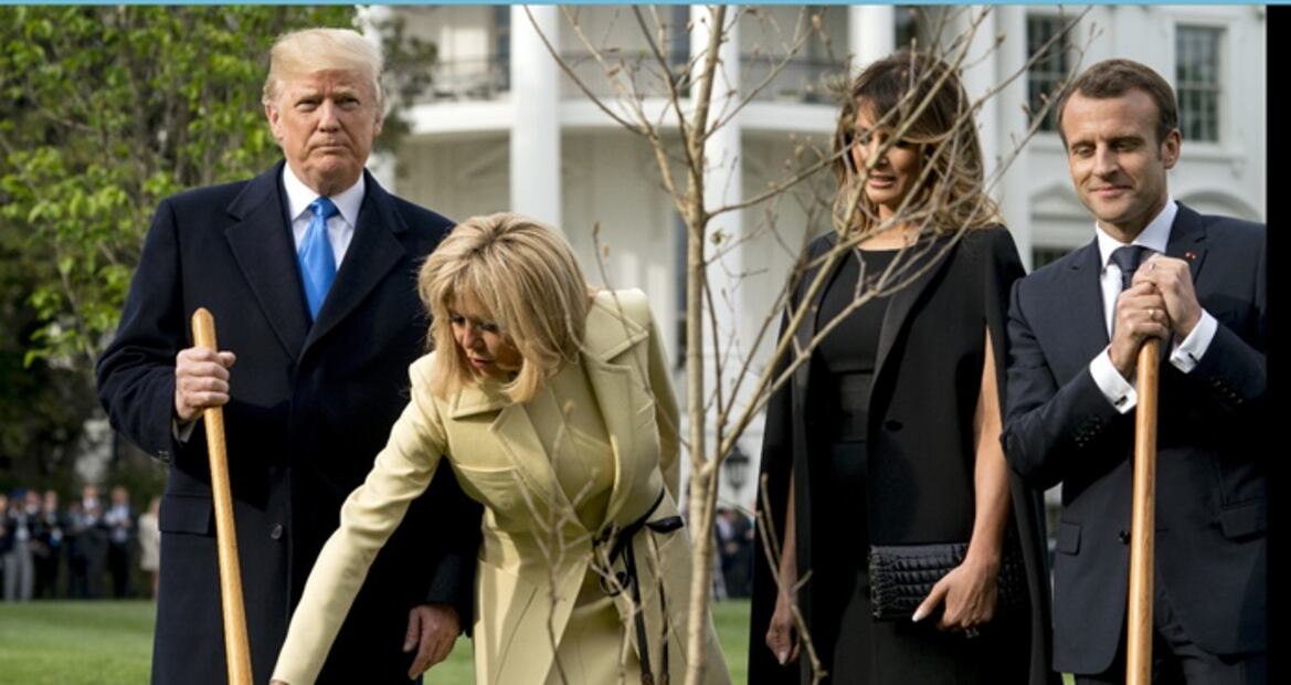 Esto le pasó al árbol que Trump y Macron plantaron como señal de amistad