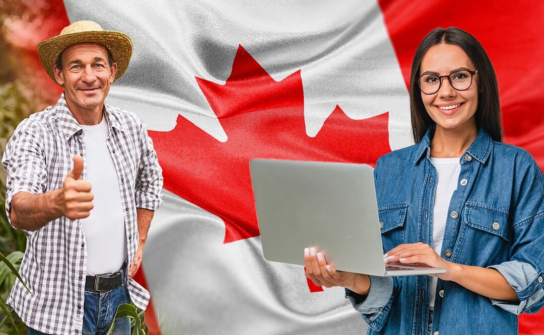 iStock/ Inside Creative House/ max-kegfire/ husayno/ 10 programas migratorios que te llevan a trabajar y a vivir en Canadá