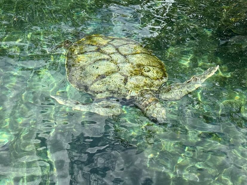 Xcaret. Foto: Diana Espinoza