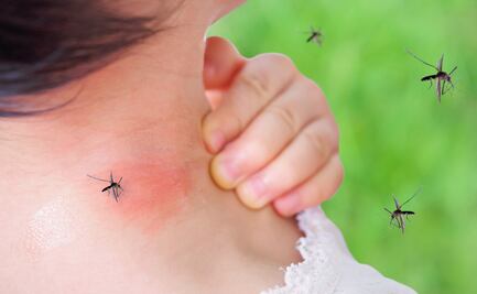 Ciudad impone confinamiento por preocupaciones de una infección “incurable” por mosquitos