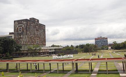 UNAM toma medidas contra supuesta plaga de chinches; algunos planteles suspenderán clases