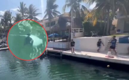 Captan a turistas pescando una mantarraya, especie protegida, en puerto de Playa del Carmen