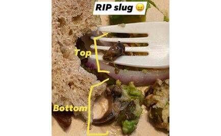 Mujer muerde una babosa con parásitos en un sándwich empaquetado