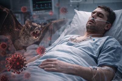 Virus Nipah India. Cómo se contagia, ¿de persona a persona? ¿Llegará a México? Síntomas que debes vigilar