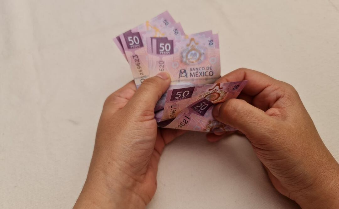 Pensión Bienestar de 30 a 64 años para Personas con Discapacidad. Foto: iStock/FJZEA