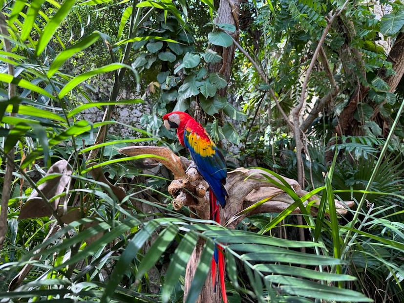 Xcaret. Foto: Diana Espinoza