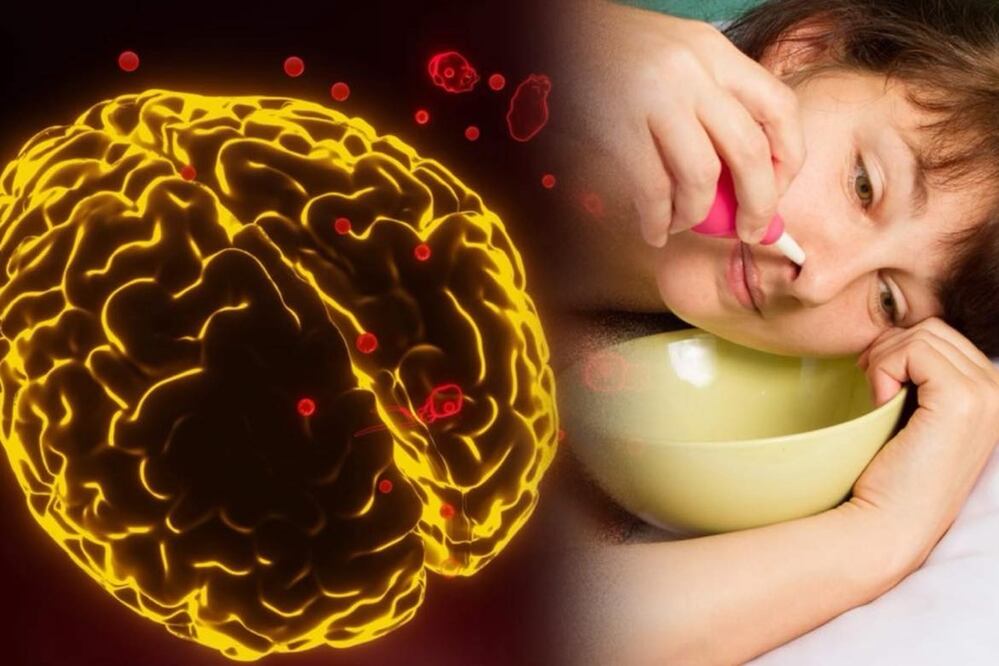 Mueren tres personas por ameba “come cerebros”; se infectaron con agua de la llave. Foto: iSTOCK