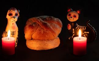 Día de Muertos 2024: ¿Qué día llegan los perritos y mascotas? ¿Qué lleva su ofrenda?