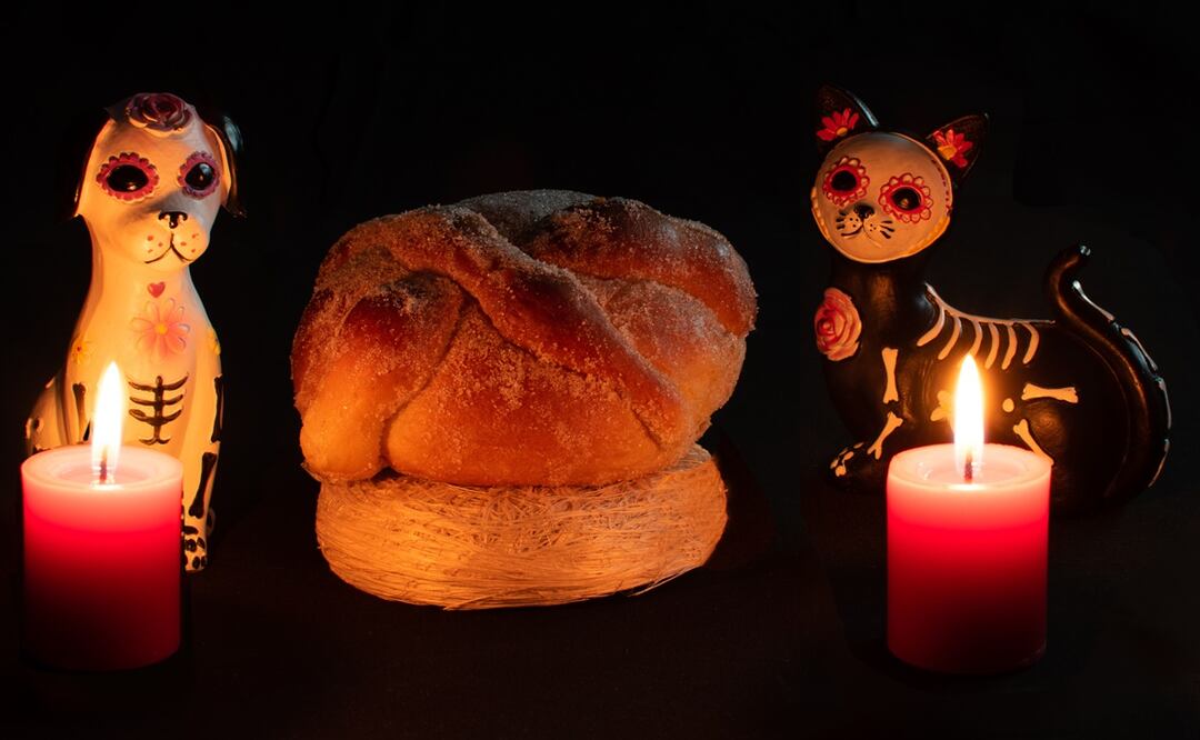 Día de Muertos, mascotas. Getty Images/iStockphoto/ Armando Prieto