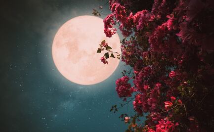 La Luna llena de Flores y el eclipse penumbral que sucederán al mismo tiempo, ¿cuándo y cómo verlos?