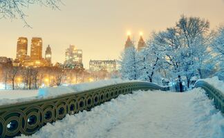 Hoteles en Nueva York tendrán descuentos del 23 % durante todo enero