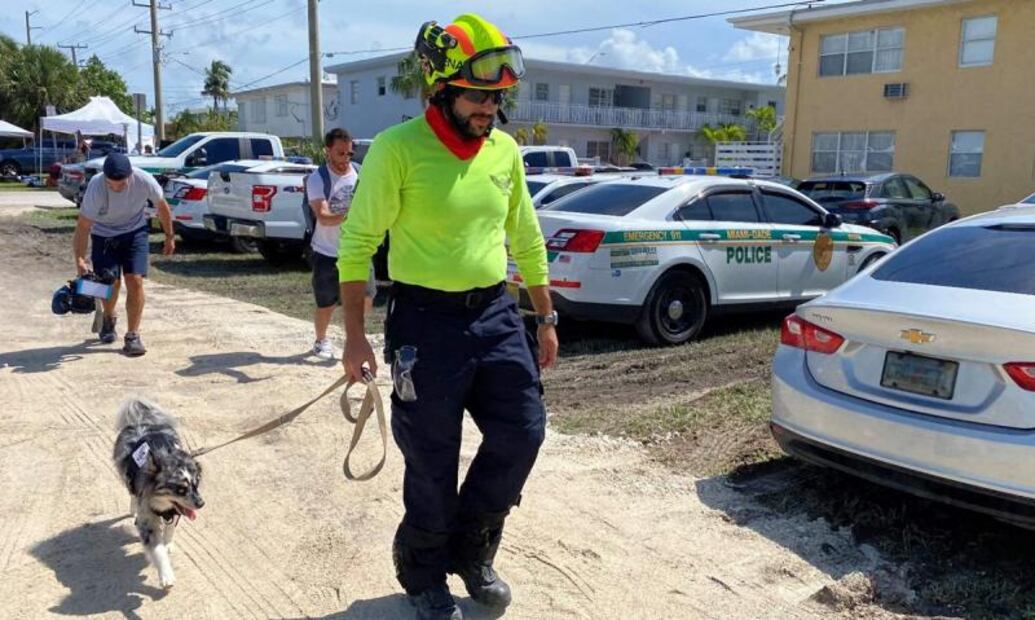 Oreo, la perrita que busca sobreviventes en edificio de Miami