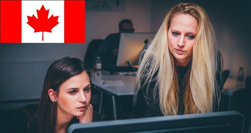 Oferta de trabajo en Canadá: solicitan analista-programador por $82,000 