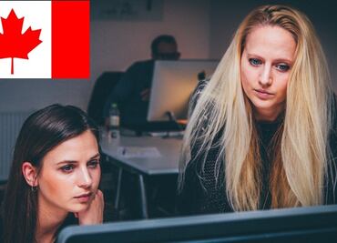 Oferta de trabajo en Canadá: solicitan analista-programador por $82,000