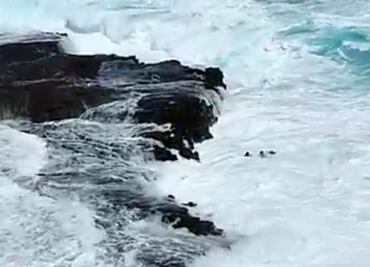 Video. Por tomar selfie, pareja es arrastrada por olas gigantes en Hawái