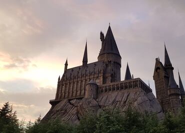 Disfruta de la atracción de Harry Potter en Universal Studios desde casa