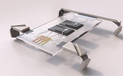 Desarrollan robots del tamaño de un cabello que se desplazan a 4 patas