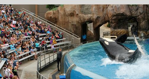 SeaWorld eliminará el unicel de sus 12 parques 