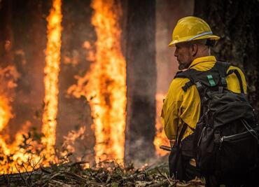 ¿Qué hacer en caso de un incendio forestal?