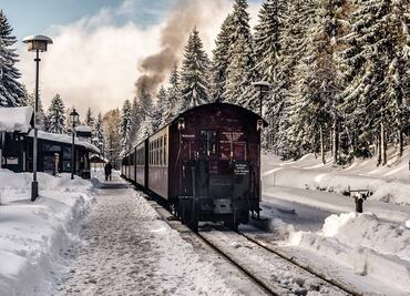 Maravíllate con los paisajes de EU a bordo de un tren navideño