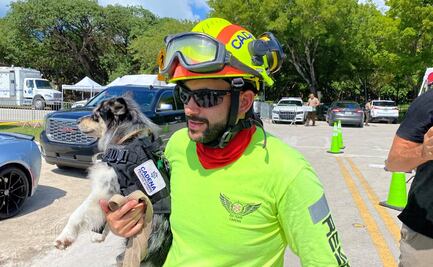 Oreo, la perrita que busca sobreviventes en edificio de Miami
