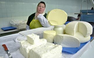 Quesos y otros lácteos, ¿alimentos saludables? Esto dice Harvard 