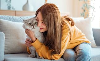 Tener un gato como mascota aumenta las posibilidades de desarrollar esquizofrenia, dice investigación