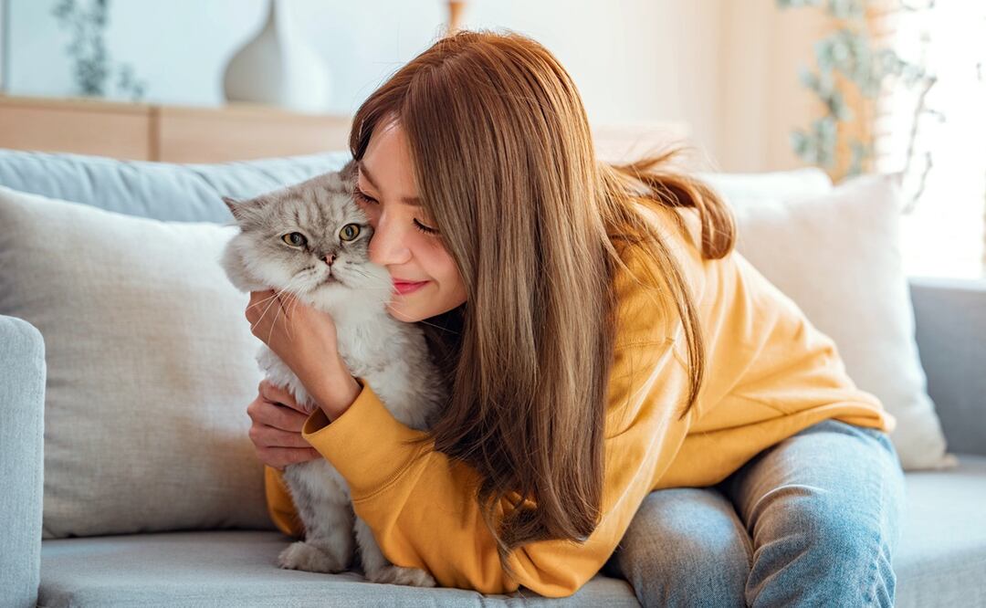 Tener un gato como mascota aumenta las posibilidades de desarrollar esquizofrenia, dice investigación. Foto: iStock-oatawa