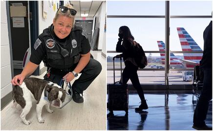 Viajero abandona a su perro en aeropuerto de Pensilvania porque “no podía subirlo al avión”