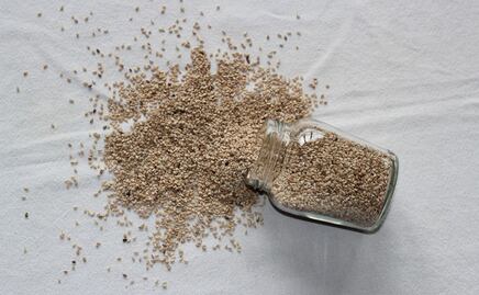 LA FDA advierte riesgo en linaza contaminada con salmonela