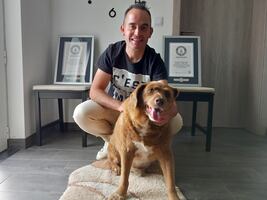 Bobi, considerado el perro más longevo del mundo, falleció a los 31 años. VIDEO