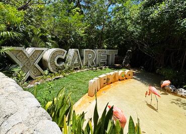 Experiencias que (quizá) no sabías que podías tener en Xcaret: Harán tu viaje único