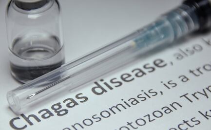 ¡Alerta máxima! Chagas se extiende por 32 estados de EU: la “chinche besadora” pone en riesgo a millones