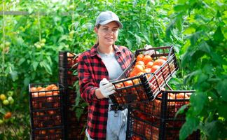 Buscan 155 migrantes para trabajar en el campo de Estados Unidos: Este es el salario y lugar