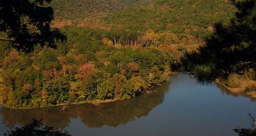 Muere estudiante tras caer 30 metros en bosque de Arkansas